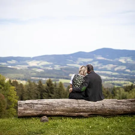 Apartamento Moarhold Almhaus - & Ruhe - Almhuette Im Poellauer Tal *